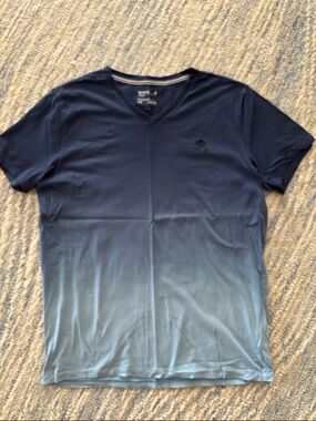 Men's Express Ombre V-Neck T-Shirt - Blue